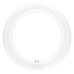 Ledvance Tubo LED T9 Value Circolare (EM/Mains) 11W 1320lm - 840 Bianco Freddo | Sostitutiva 22W